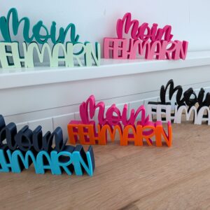 Moin Fehmarn 3D bunt